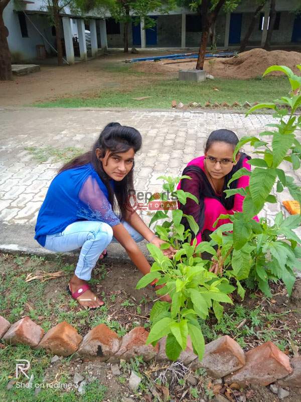 पौधा रोपकर मनाया पर्यावरण दिवस