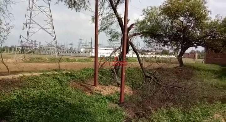 विद्युत विभाग के अधिकारियों की शह पर ठेकेदार ने ग़रीब किसानों के खेतों में अवैध तरीके से पोल गाड़े