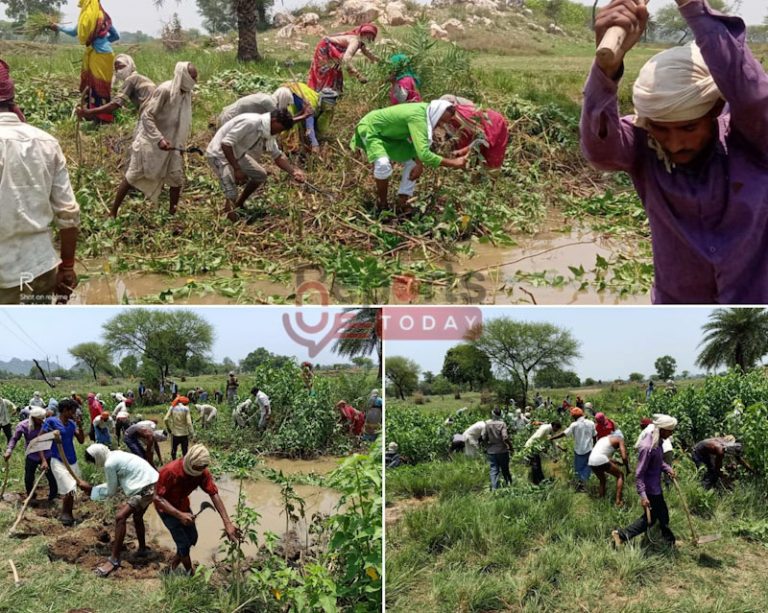 प्रवासी मजदूर श्रमदान से रच रहे जल संरक्षण की अनूठी कहानी