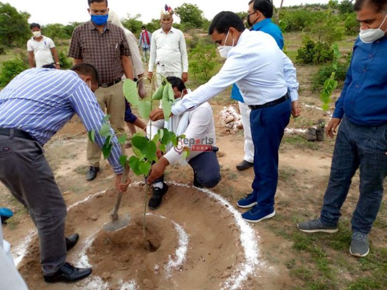 मंडलायुक्त ने जैतपुर के गौरा तालाब में किया पौधारोपण