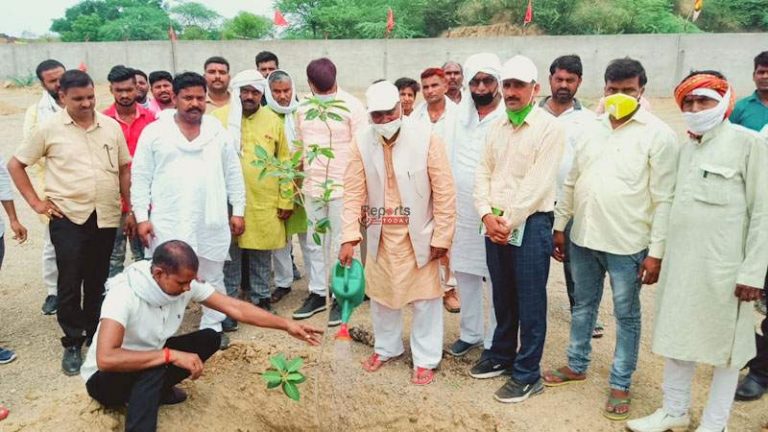 वृक्ष हमारे जीवन के लिए बहुत ही आवश्यक – सांसद